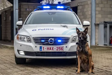Politiehond nitro voor auto
